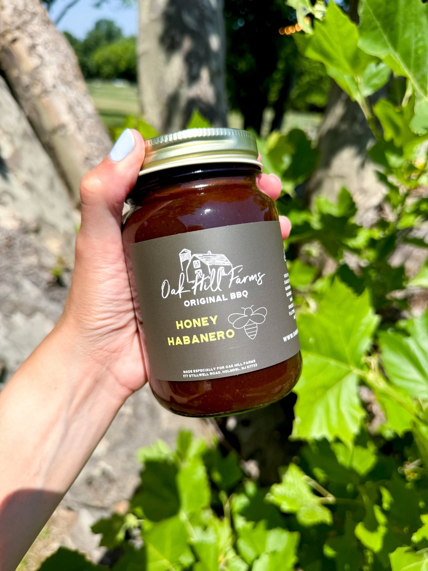 Honey Habanero - BBQ Sauce